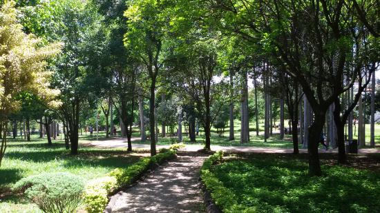 Lydia Natalizio Diogo Ecological Park